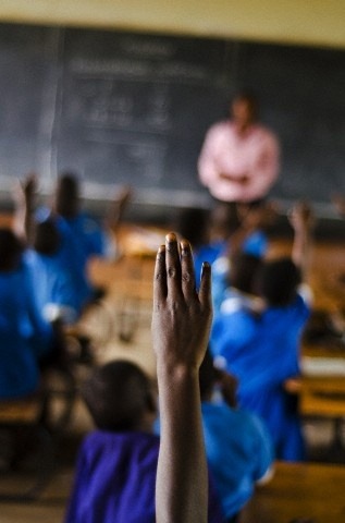 Students raising hands in class